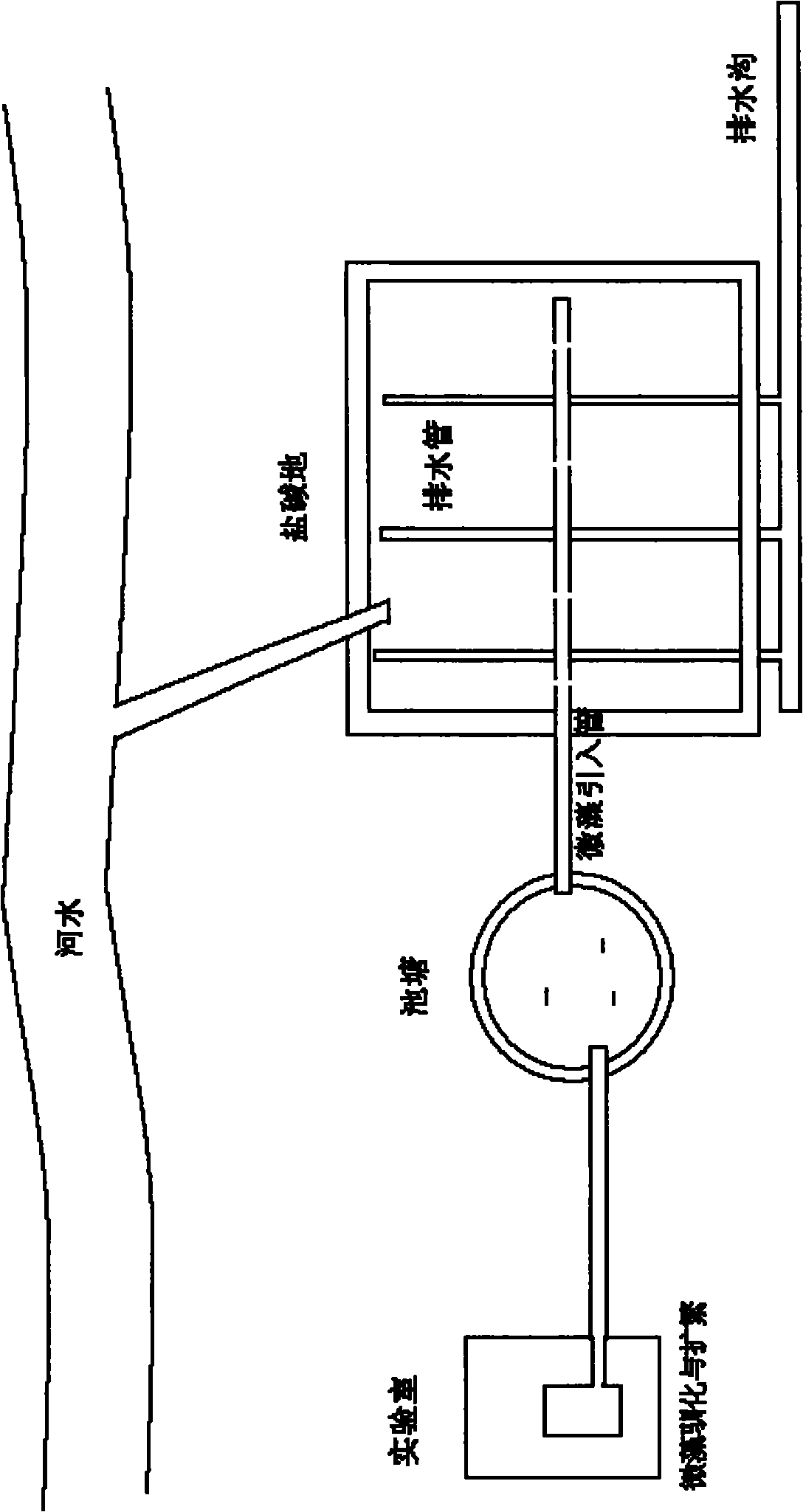 Domestication method for microcoleus vaginatus and application thereof