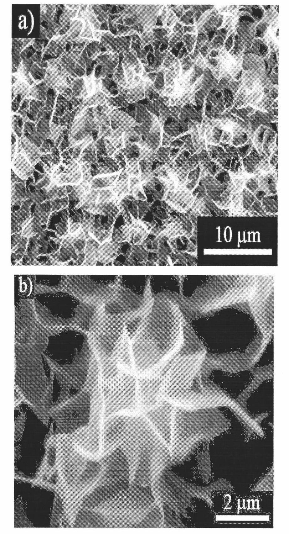 Method for growing upright three-dimensional netlike noble metal nano-plate on boron-doped diamond substrate