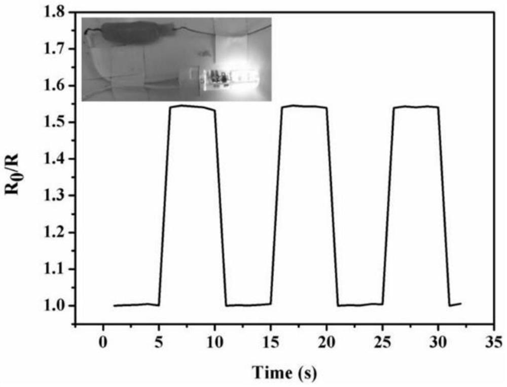 Preparation method and application of conductive gel material