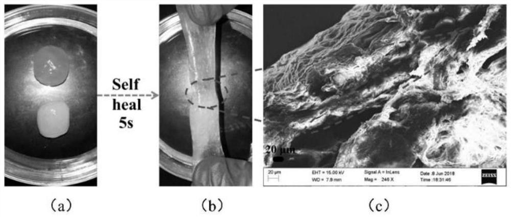 Preparation method and application of conductive gel material