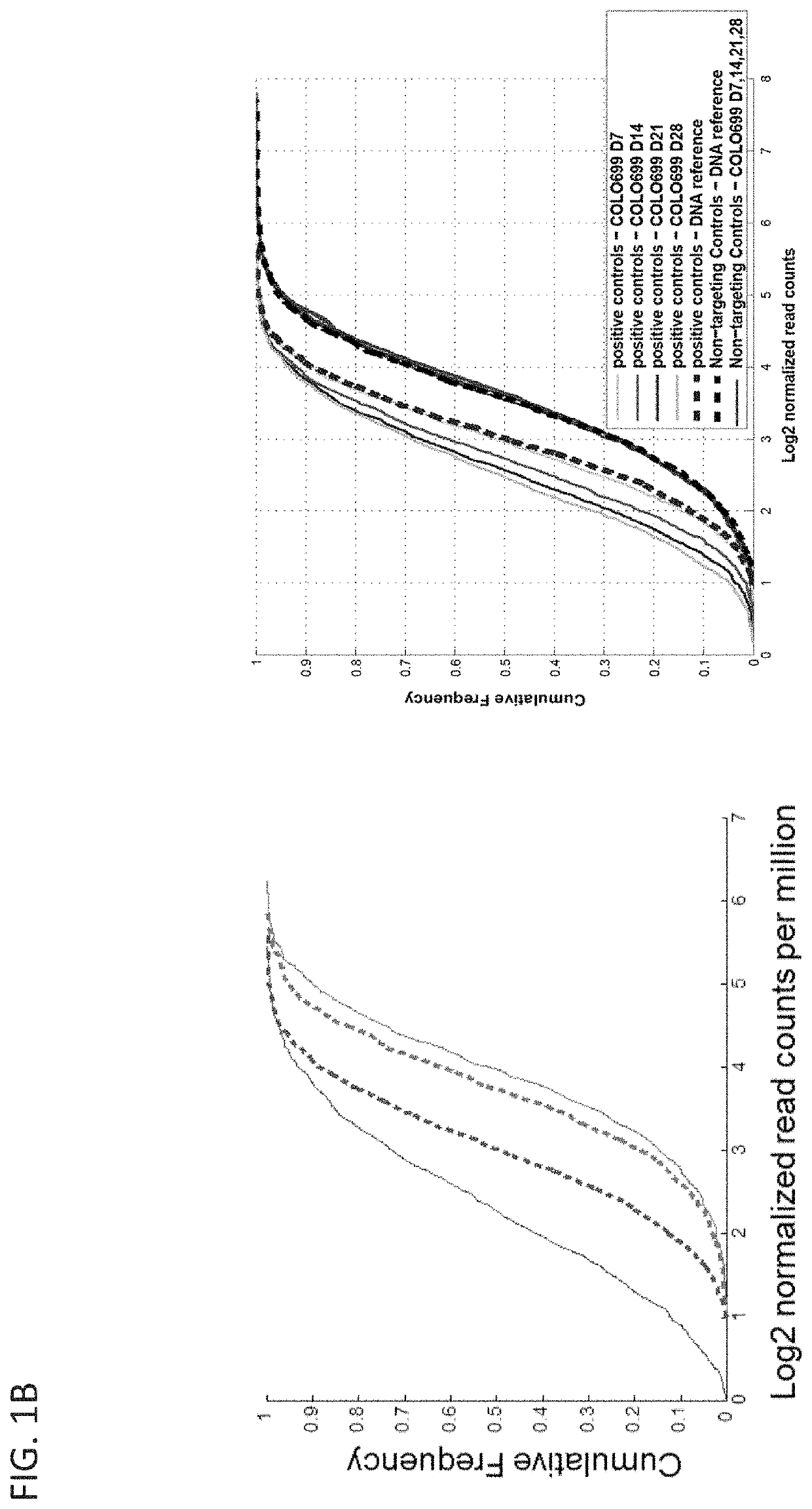 Compositions and methods for targeting cancer-specific sequence variations