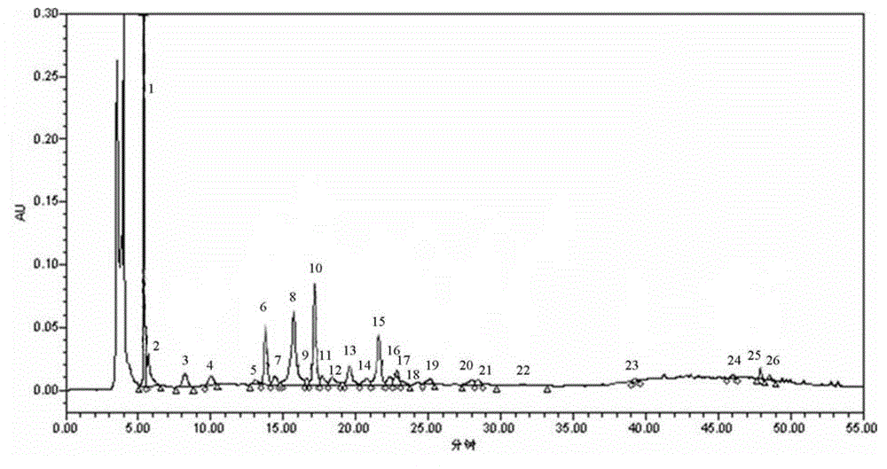 Daochi powder formula granule as well as preparation method, use and detection method thereof