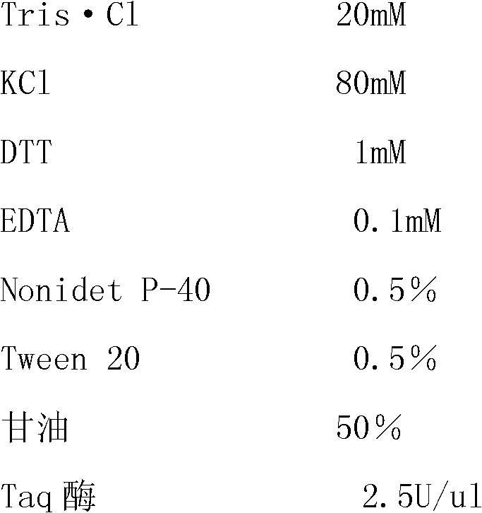 Human herpes virus six-type real-time fluorescence quantitative PCR (polymerase chain reaction) kit