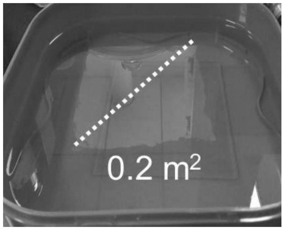 Tin/Protein Nanohybrid Films and Their Applications