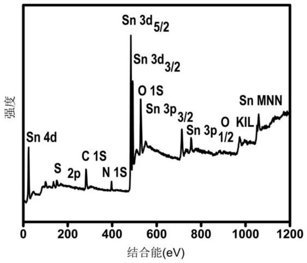 Tin/Protein Nanohybrid Films and Their Applications