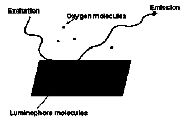 Multi-arm high-molecular pressure sensitive paint for aerospace and preparation method thereof