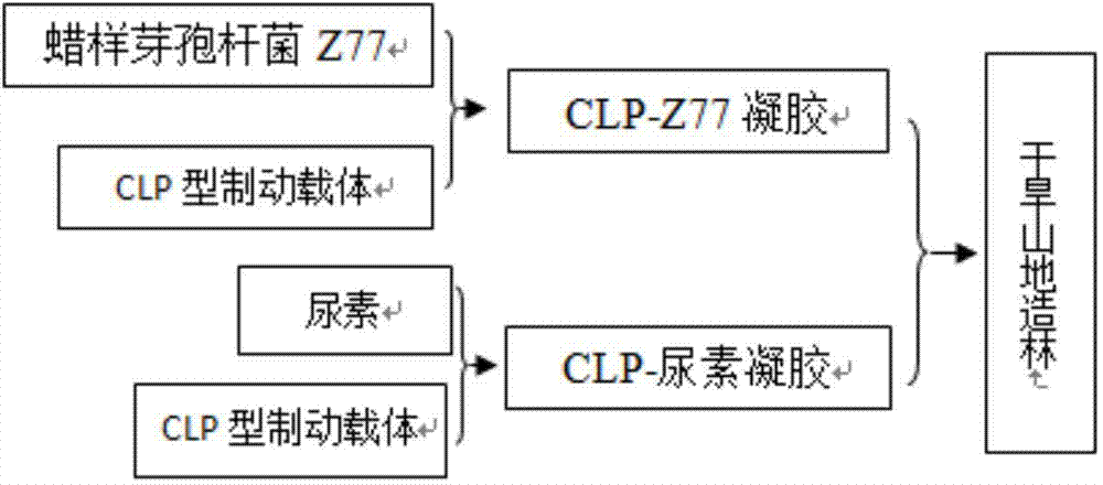 Substrate and method for improving survival rate of afforestation in drought and barren mountainous regions