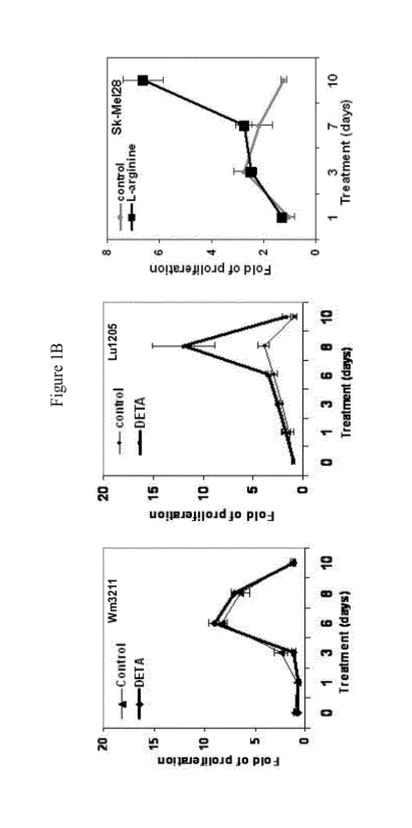 Specific nNOS Inhibitors for the Therapy And Prevention Of Human Melanoma