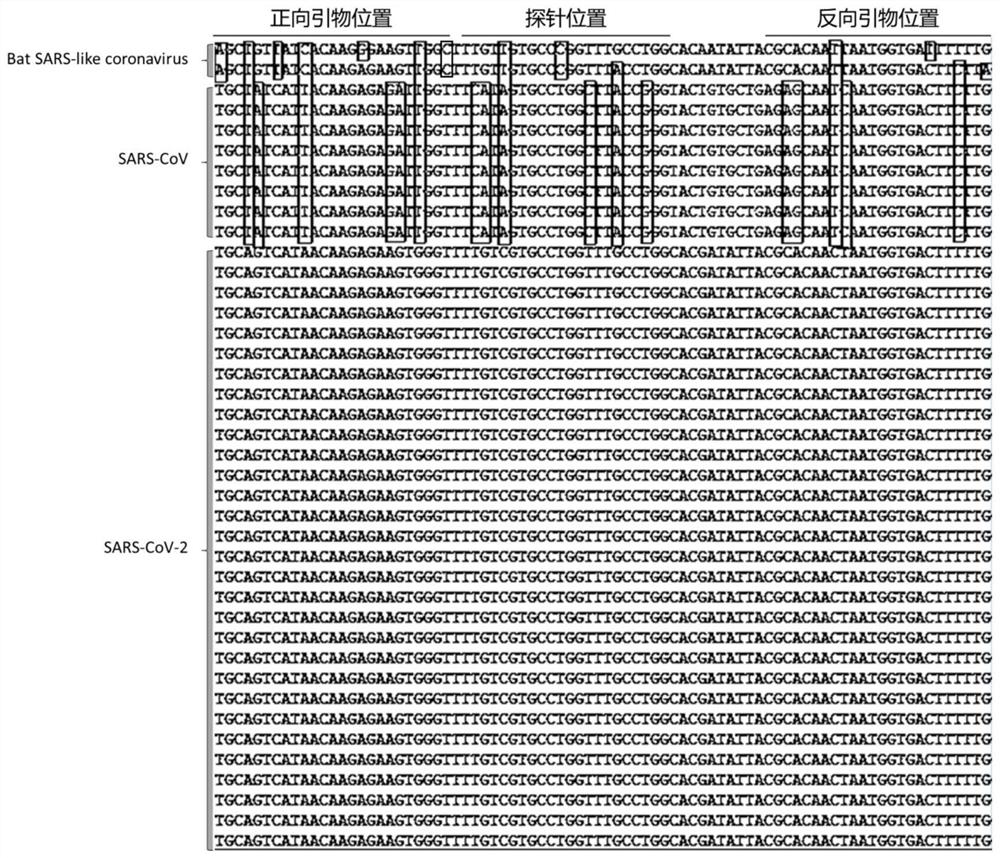 Fluorescent RT-PCR reagent and method for detecting influenza A virus, influenza B virus and coronavirus SARS-CoV-2