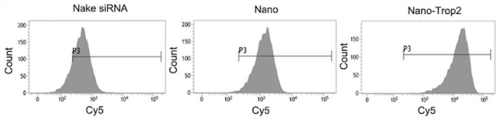 Tumor treatment nano-drug for targeting Trop2 protein on tumor cell surface and preparation method of tumor treatment nano-drug