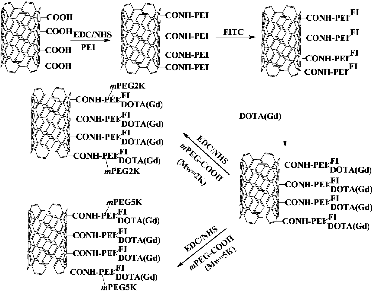 Preparation method of functionalized polyethyleneimine-modified multi-wall carbon nano-tube magnetic resonance imaging contrast agent