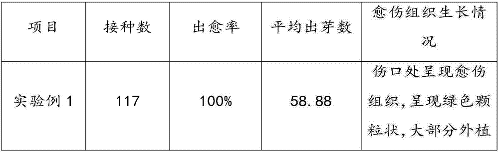 Regeneration culture medium for blueberry tissue culture as well as culture method and application of regeneration culture medium