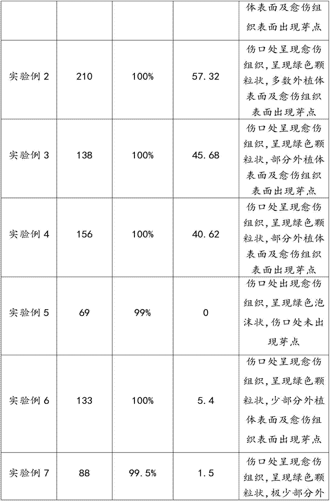 Regeneration culture medium for blueberry tissue culture as well as culture method and application of regeneration culture medium