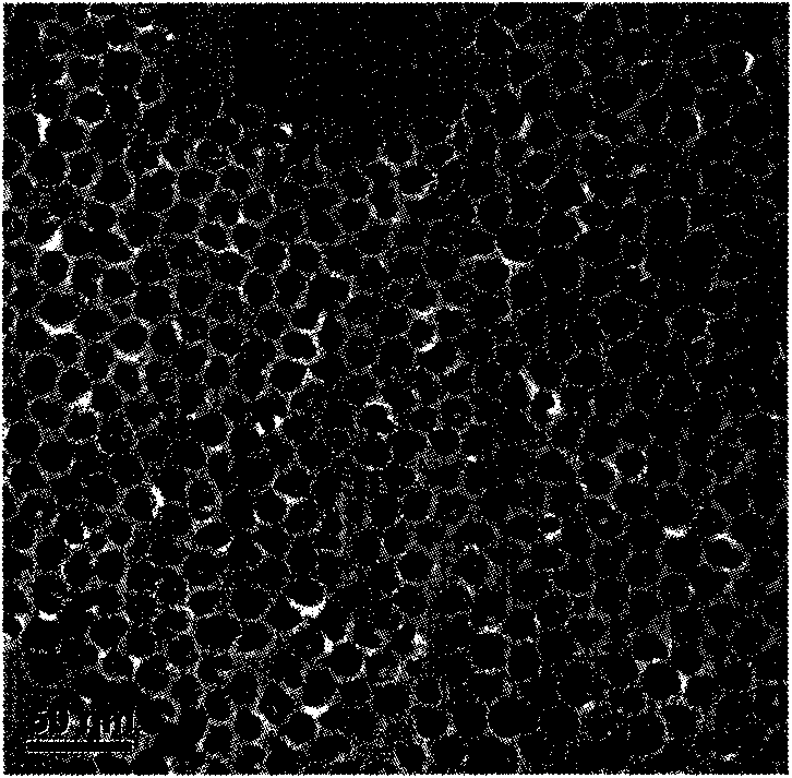 Aurum-ferric oxide/titanium dioxide nano-catalyst and preparation method thereof