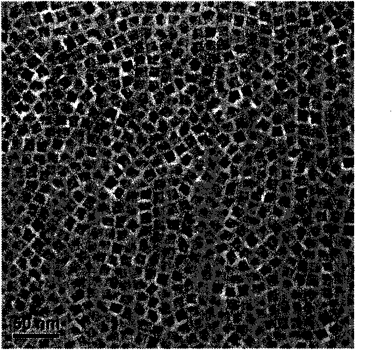 Aurum-ferric oxide/titanium dioxide nano-catalyst and preparation method thereof