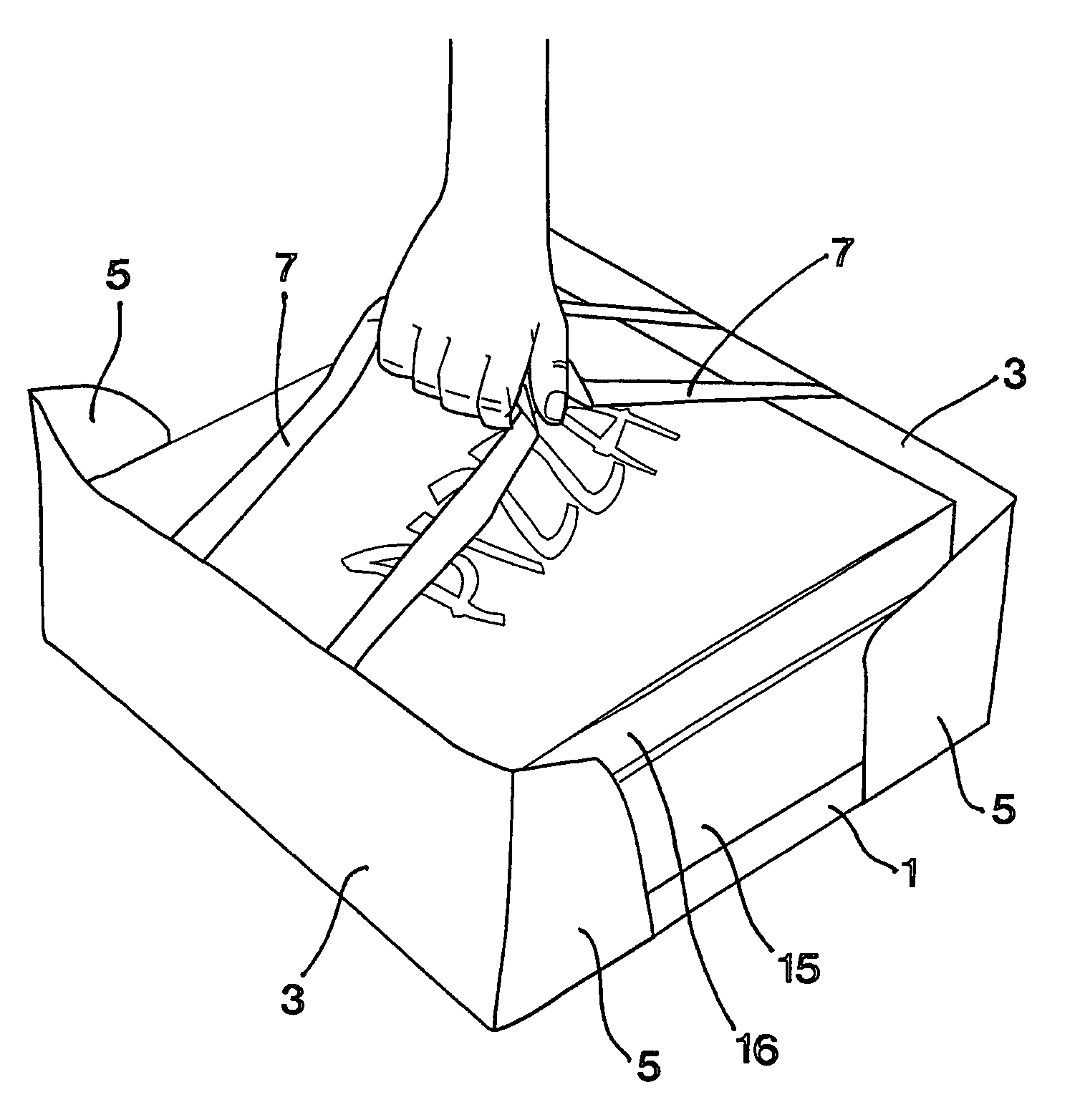 Bag for carrying box-shaped objects