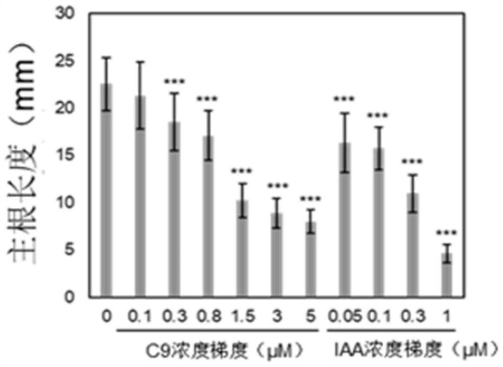 Application of Small Molecular Compounds in Promoting Plant Growth and Development