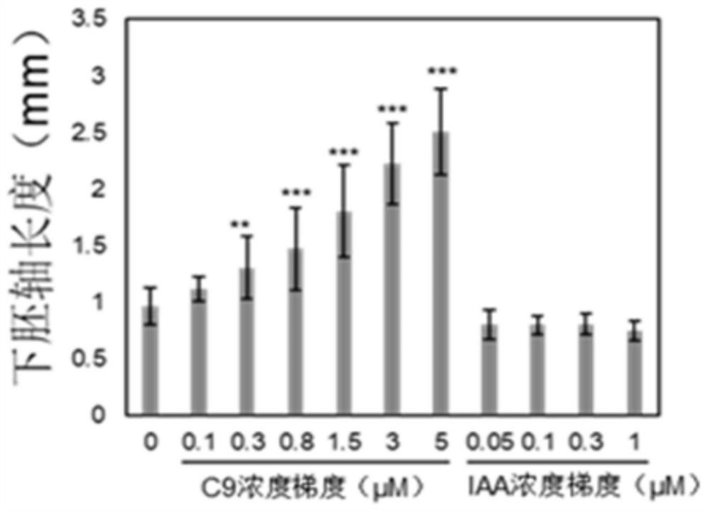 Application of Small Molecular Compounds in Promoting Plant Growth and Development