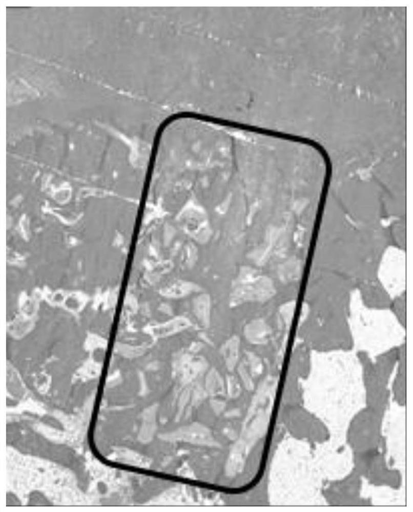 Guided tissue regeneration membrane and preparation method and application thereof