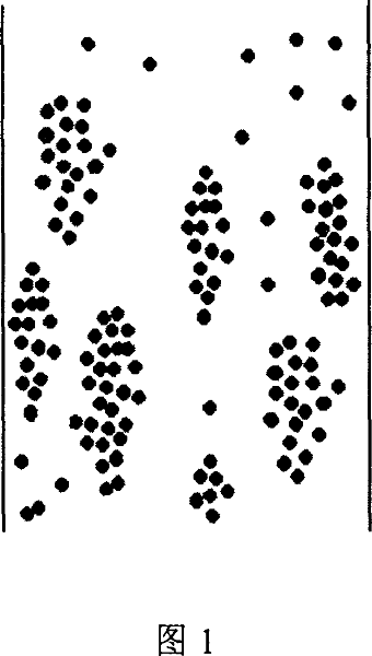 Method for measuring granule fluid two-phase stream system heterogeneous texture parameter distribution