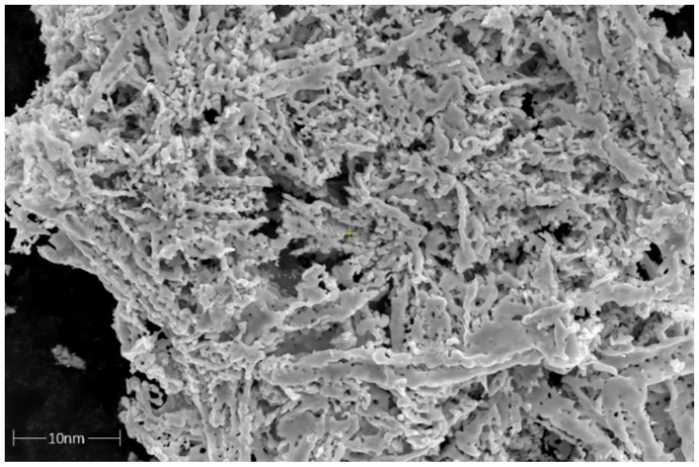 Nano zero-valent iron carbon material and preparation method and application thereof