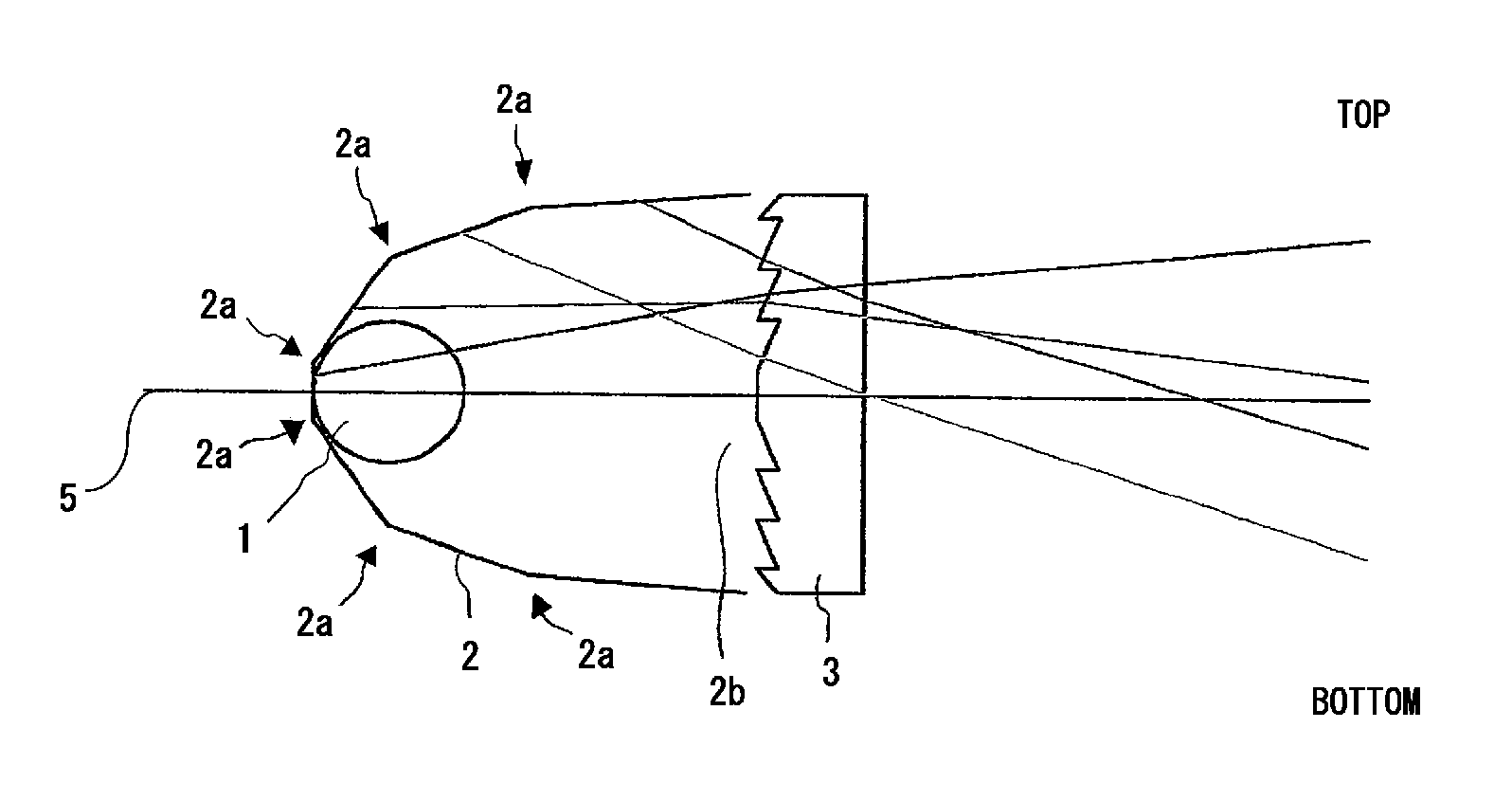 Light emitting device