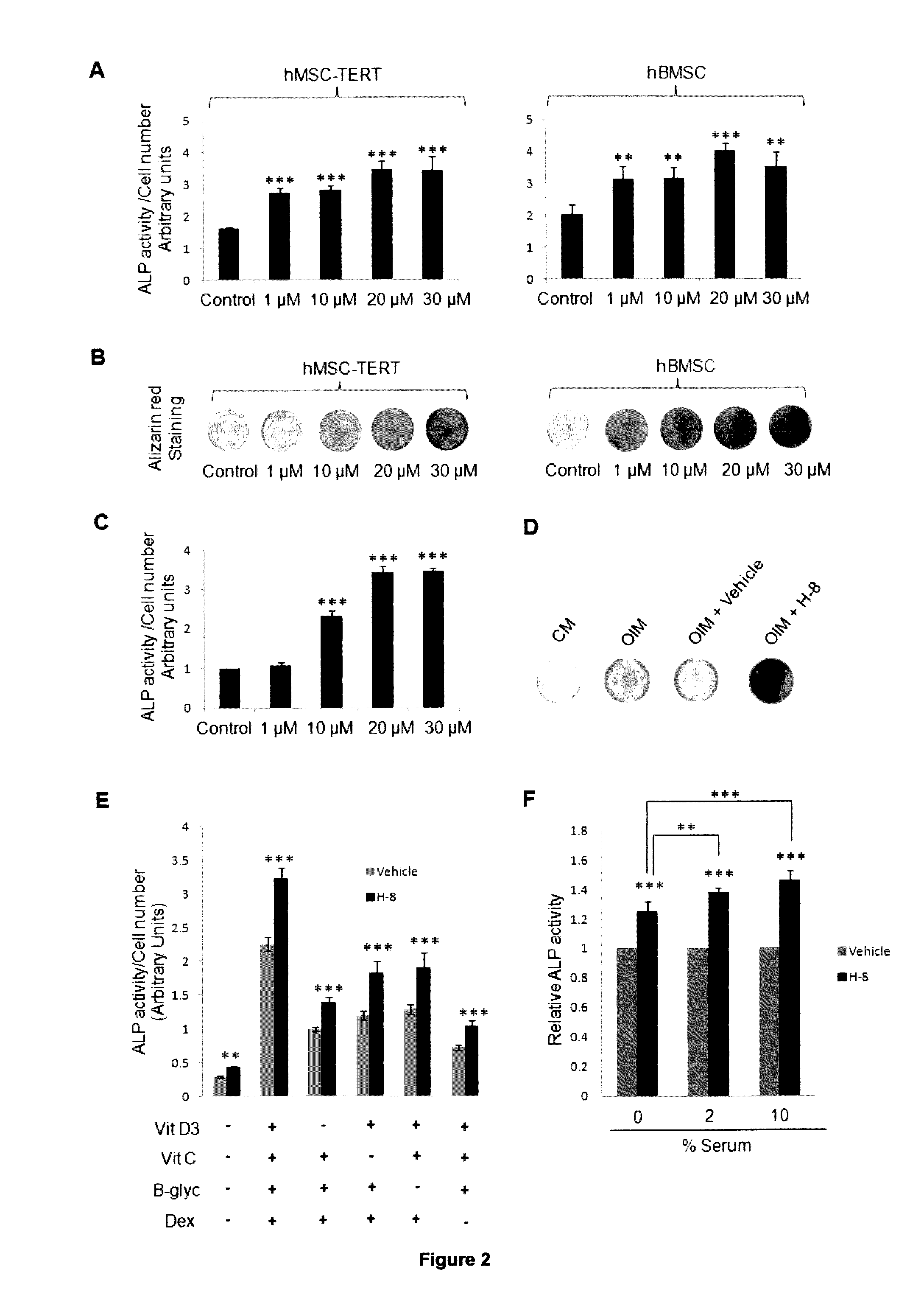 Anabolic compounds for treating and preventing bone loss diseases