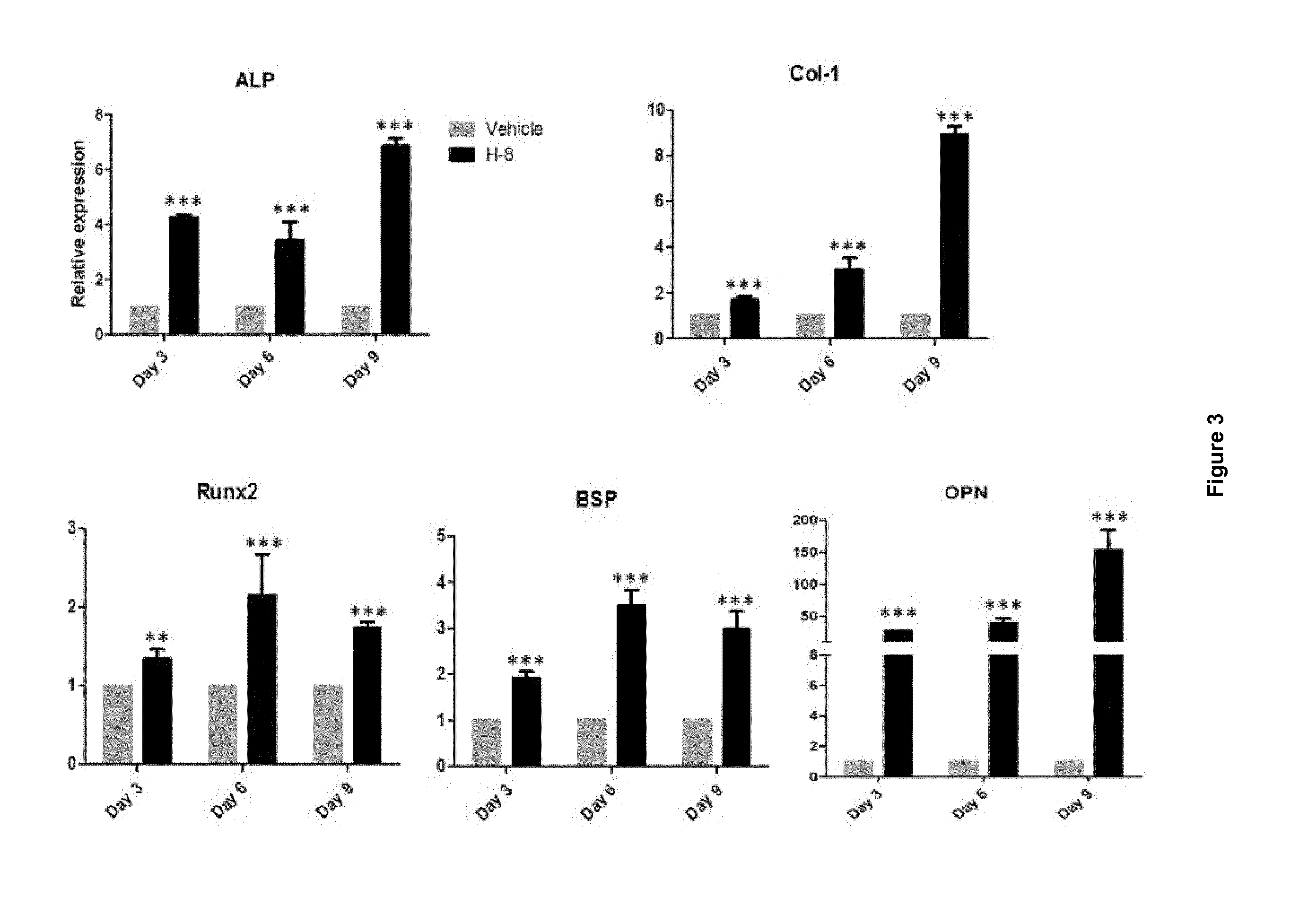 Anabolic compounds for treating and preventing bone loss diseases