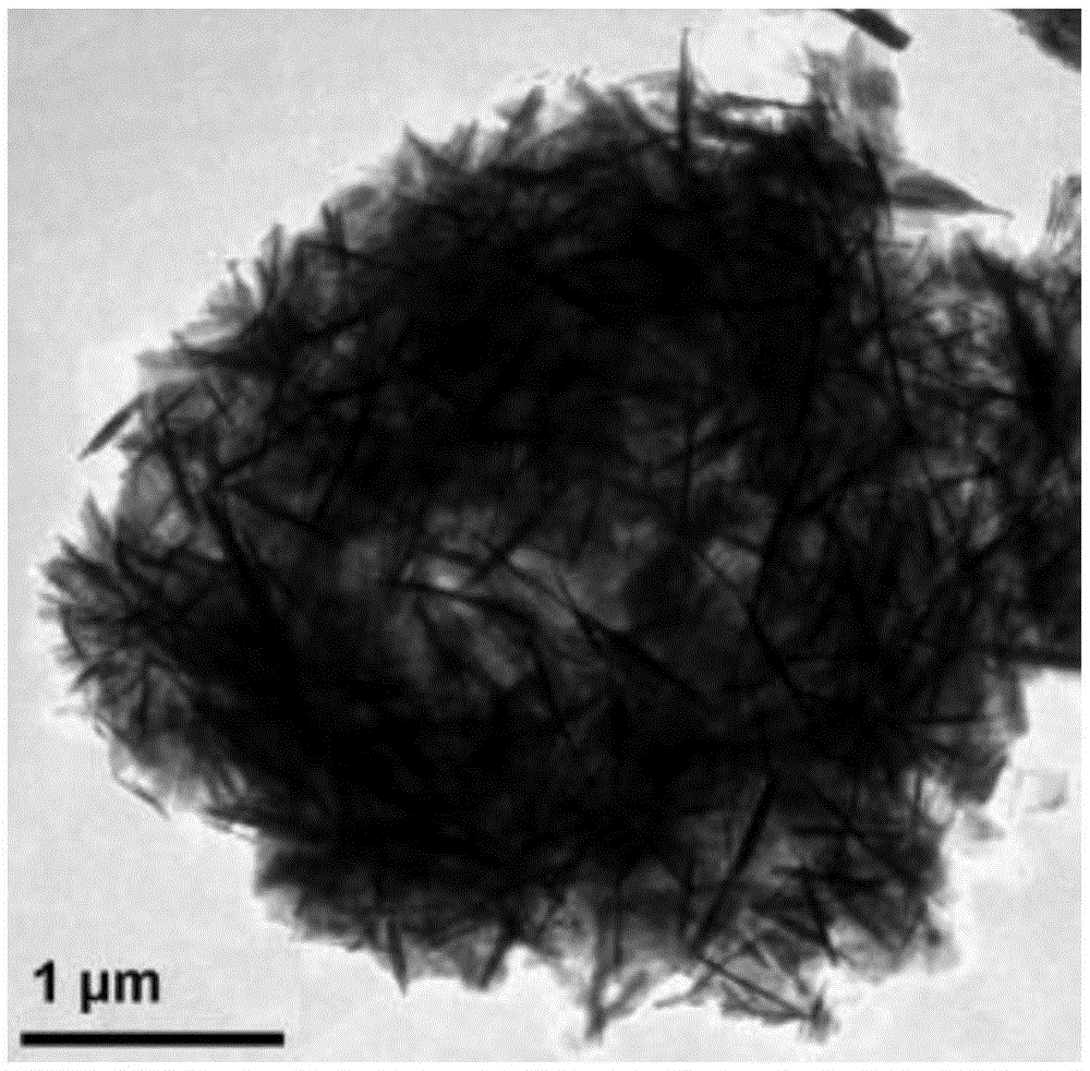 Method for synthesizing Ti-MWW molecular sieve hollow sphere with high external specific surface area