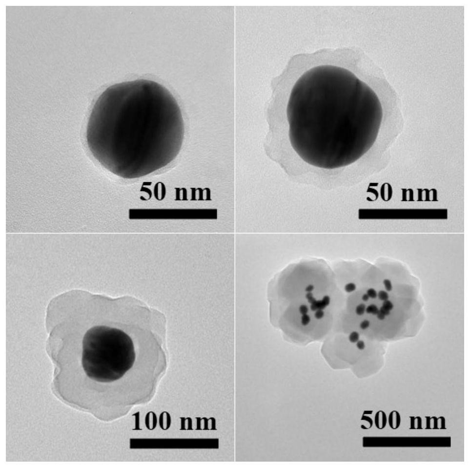 Method for detecting VOC gas by MOF-coated gold nanoparticle enhanced Raman spectroscopy