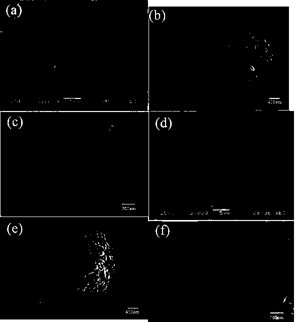 Indium sulfide mesoporous hollow microsphere photocatalyst and preparation method and use thereof