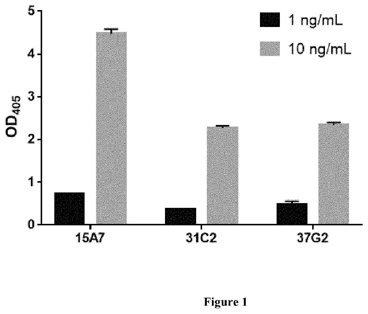 Expression vector for anti-SARS-CoV-2 neutralizing antibodies