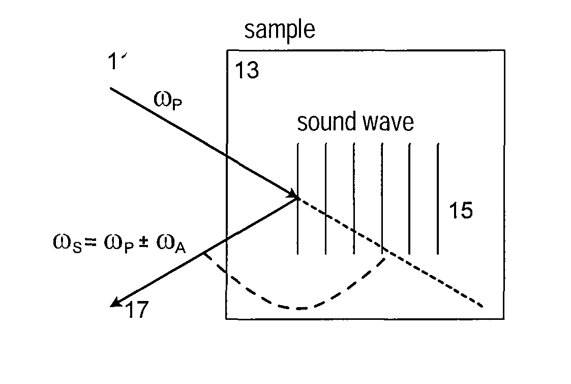 Methods, arrangements and systems for obtaining information associated with a sample using optical microscopy