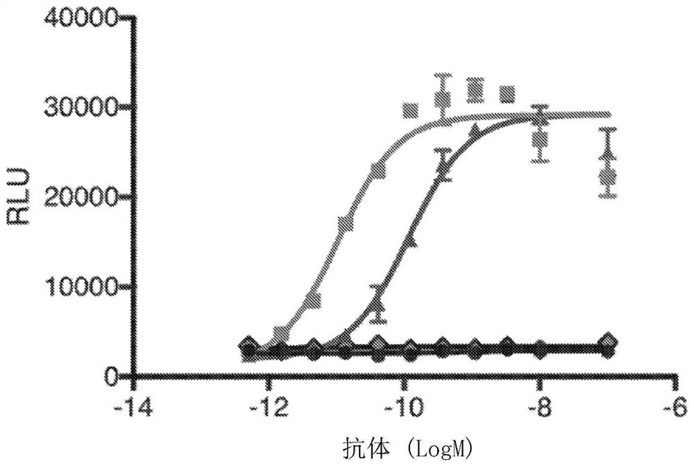 Methods of treating ocular cancer using Anti-met antibodies and bispecific antigen binding molecules that bind met