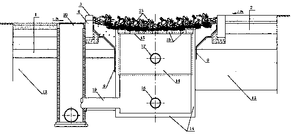 Rainwater collecting, using and discharging system for collapsible loess region road sponge facilities