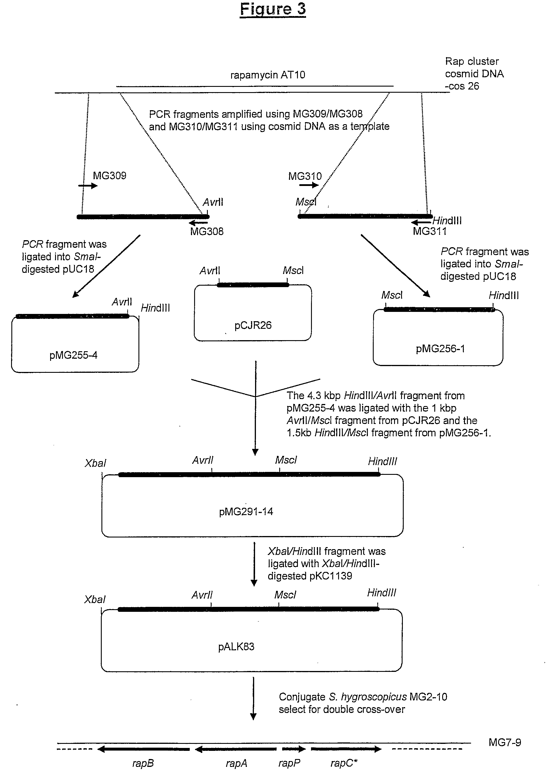 Production of polyketides and other natural products