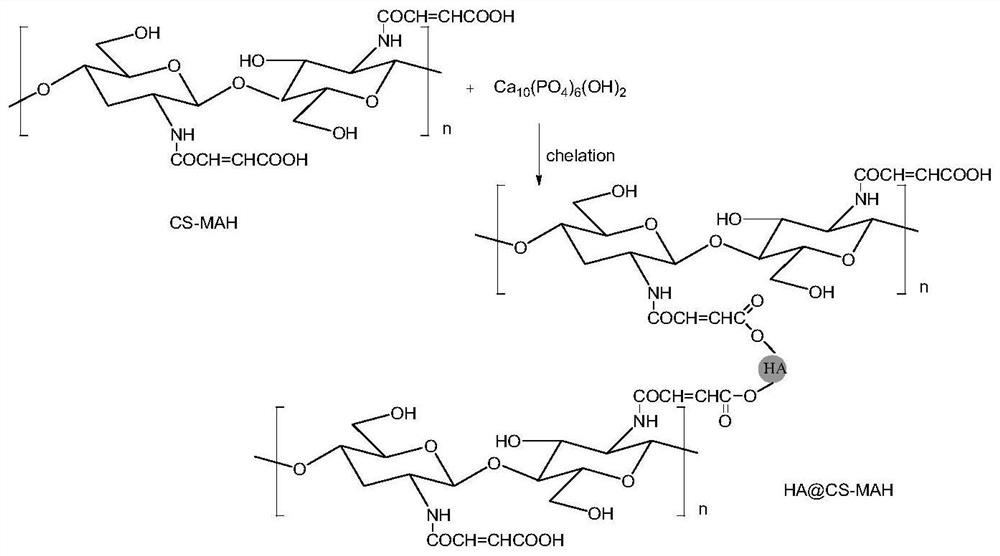 A kind of nano-hydroxyapatite/n-maleoylated chitosan composite material and its preparation method and application