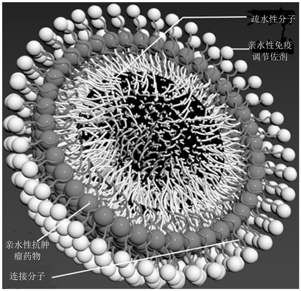 Ball-in-spherical nanoparticles and preparation method thereof