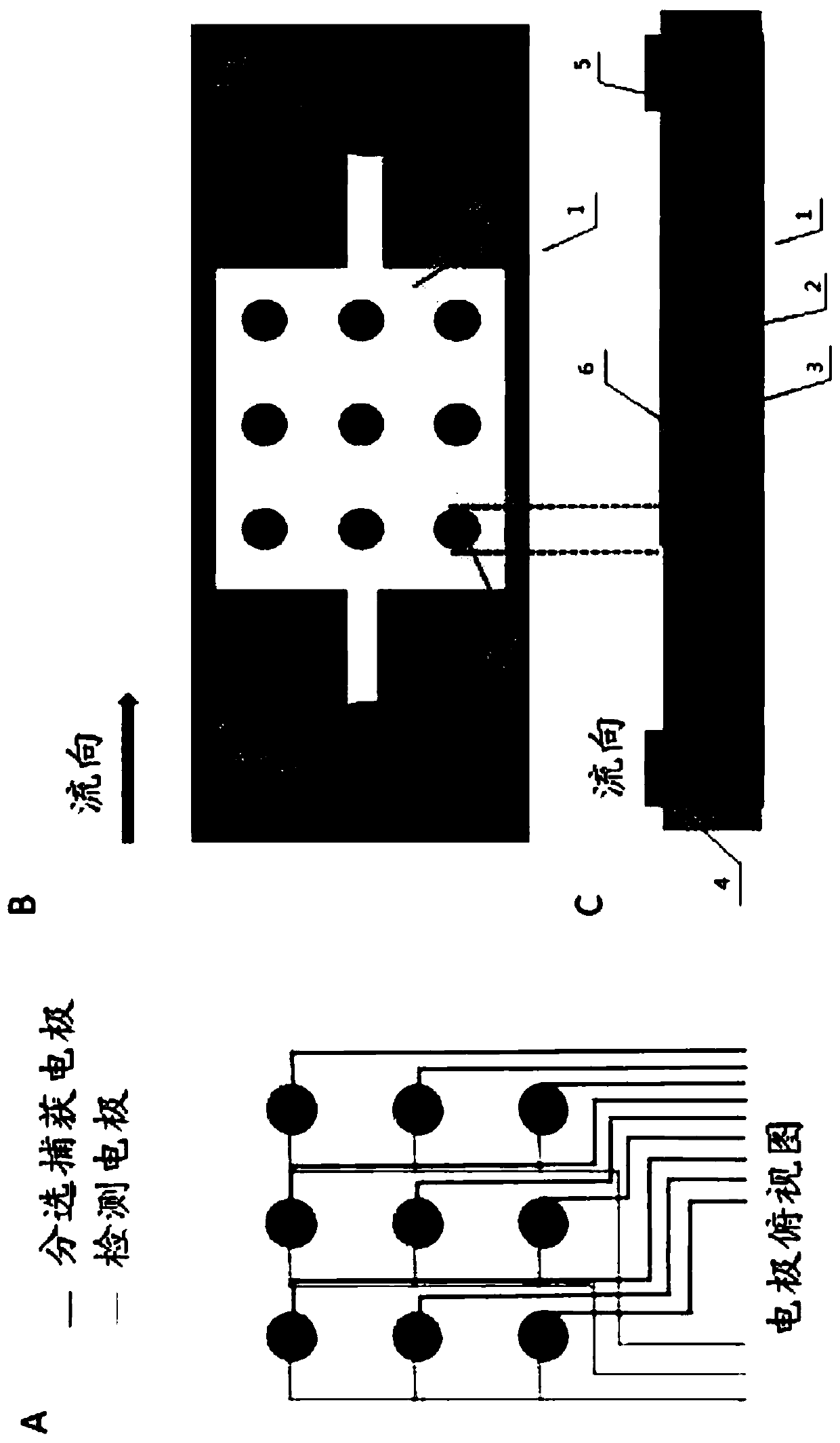 Microfluidic chip, device containing microfluidic chip and method for detecting or sorting samples