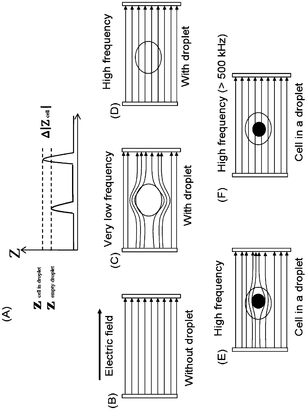 Microfluidic chip, device containing microfluidic chip and method for detecting or sorting samples