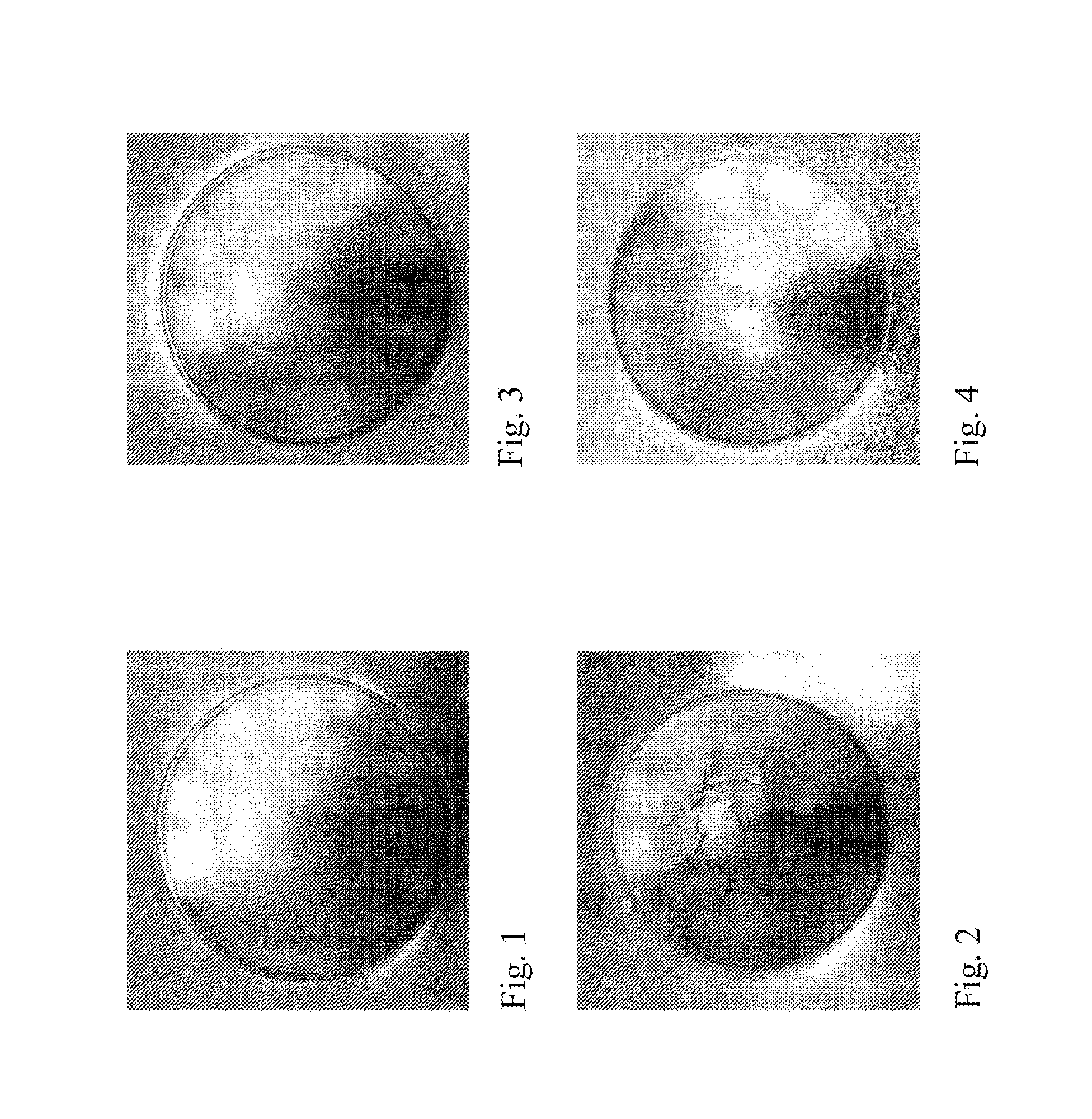 Process for coating a hot- or cold- rolled steel strip containing 6 - 30% by weight of MN with a metallic protective layer