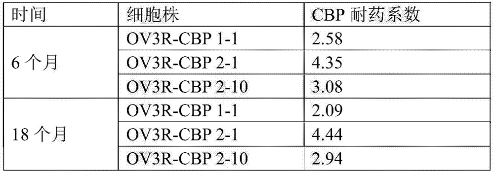 Carboplatin-resistant ovarian cancer cell line and application thereof