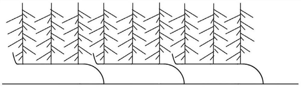 High-photosynthetic-efficiency apple tree shape suitable for mechanization and culture method