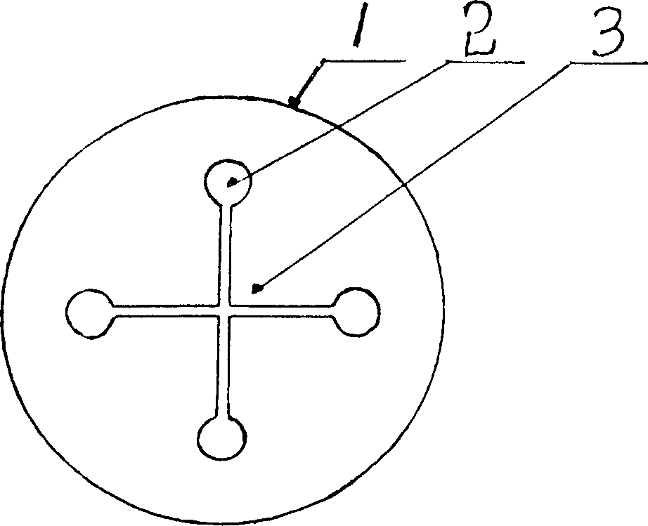 Pneumatic manipulator