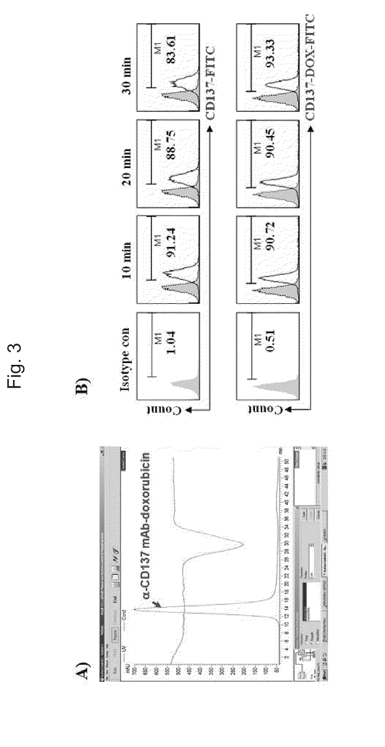 Method for selective depletion of cd137 positive cells using Anti-cd137 antibody-toxin complex