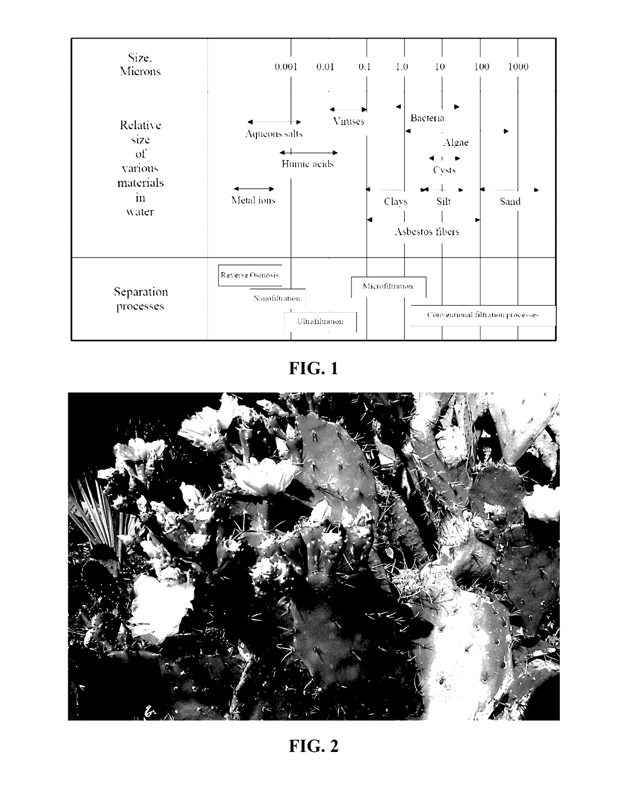 Electrospun cactus mucilage nanofibers