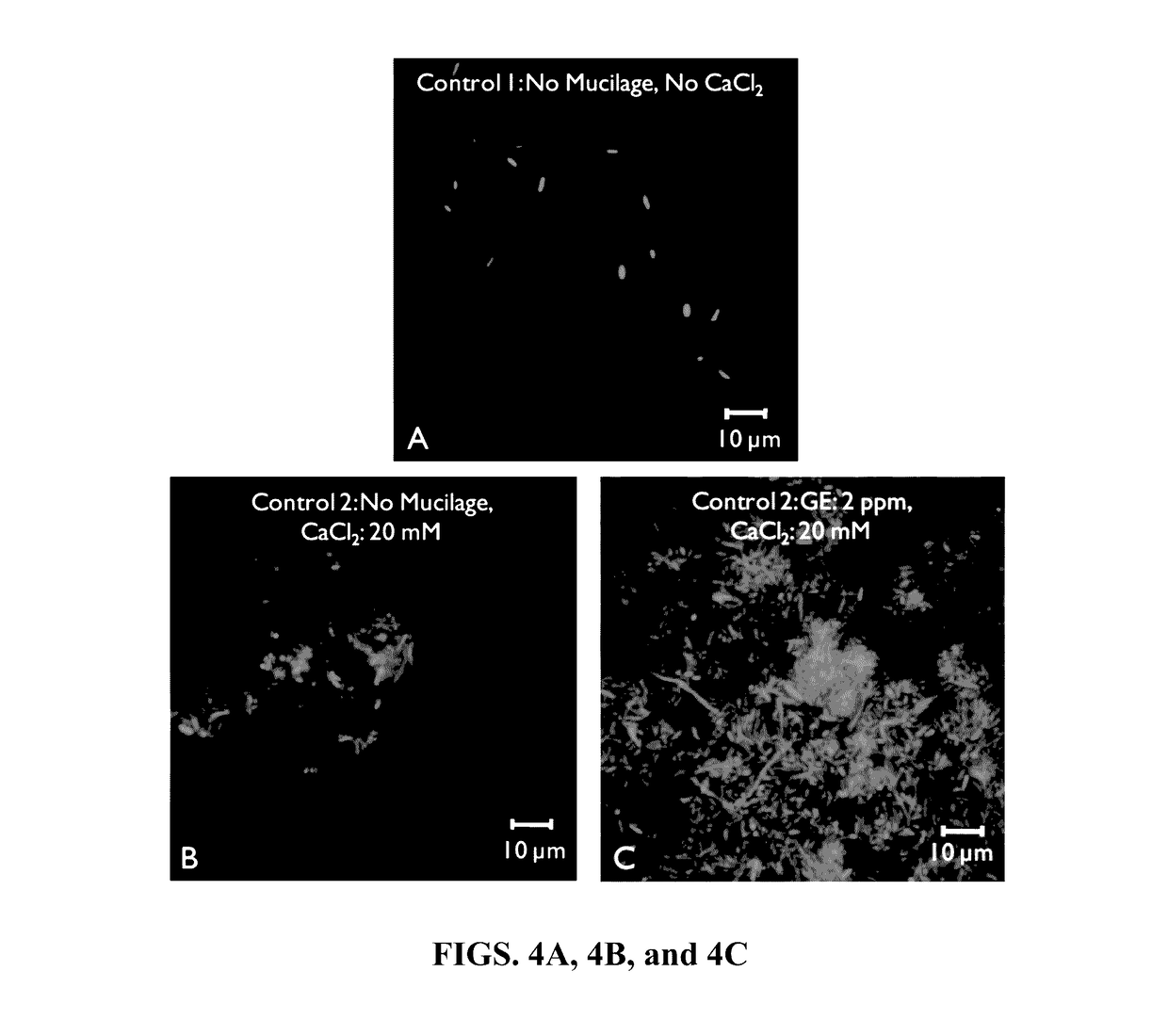 Electrospun cactus mucilage nanofibers