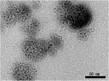 Preparation method of liposome containing irradiated graphene quantum dots (IGQDs)