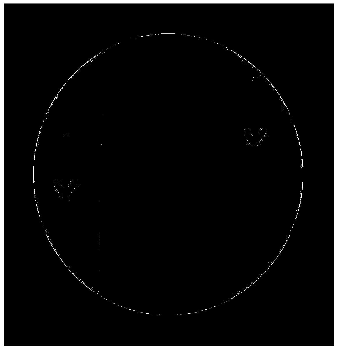 Displacement testing system and displacement testing method