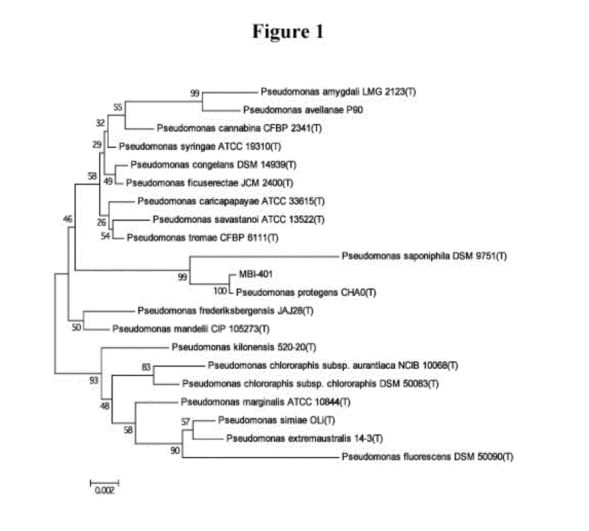 Chemical and biological agents for the control of molluscs